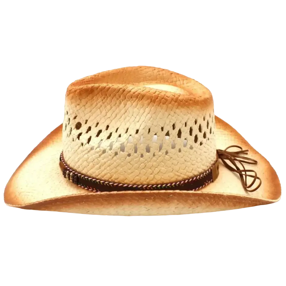 Sombrero Vaquero Hombre de Paja